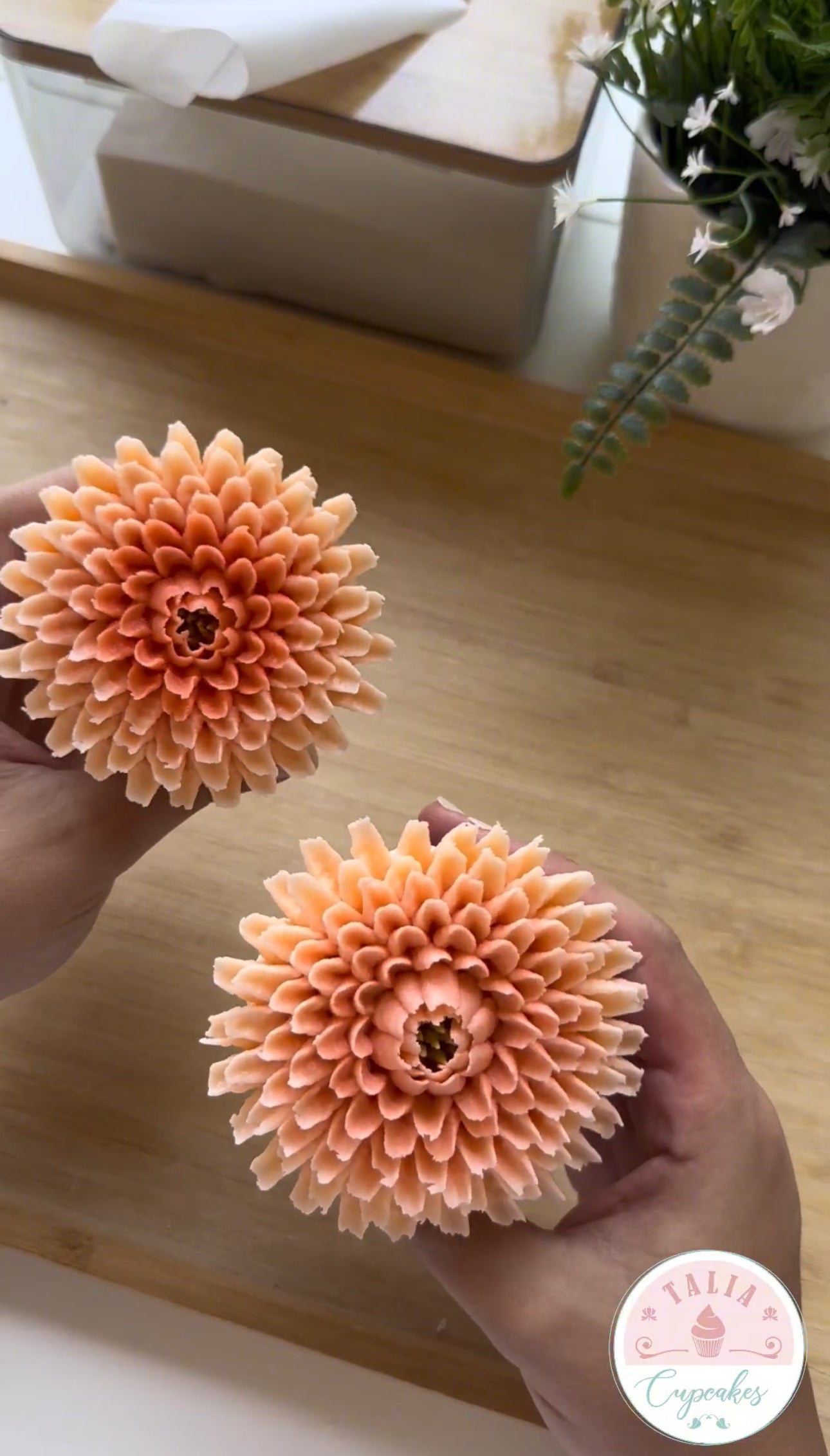 Chrysanthemum Flower